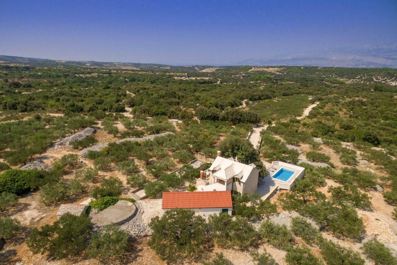 Villa Dubrava Tranquil Retreat Nestled In An Olive Grove For Serene Escapes Pucisca Eksteriør bilde