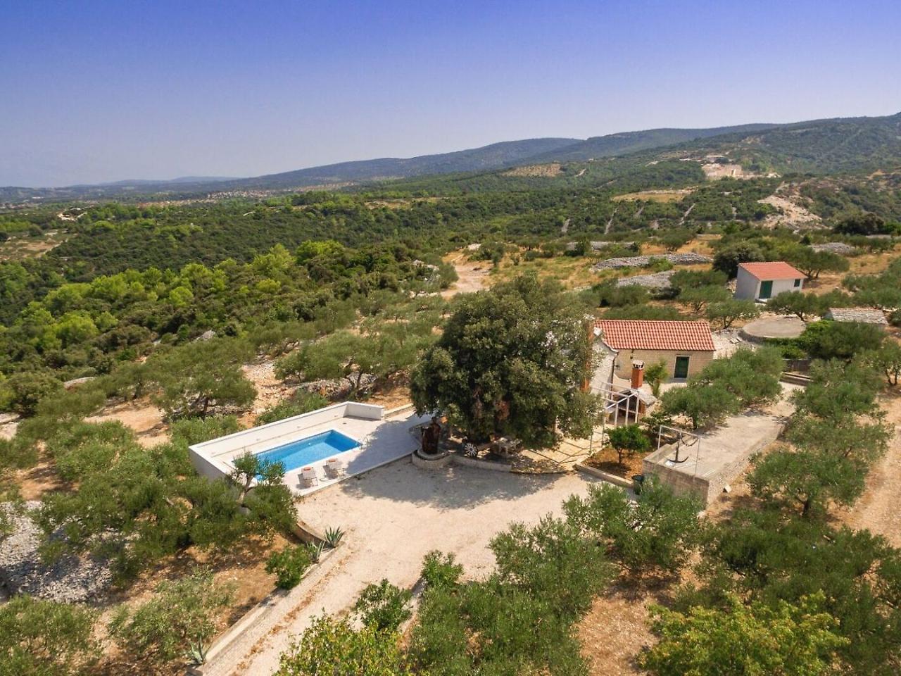 Villa Dubrava Tranquil Retreat Nestled In An Olive Grove For Serene Escapes Pucisca Eksteriør bilde